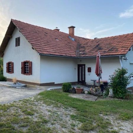 Villa Zivahna Hisa à Sveti Jurij ob Scavnici Extérieur photo