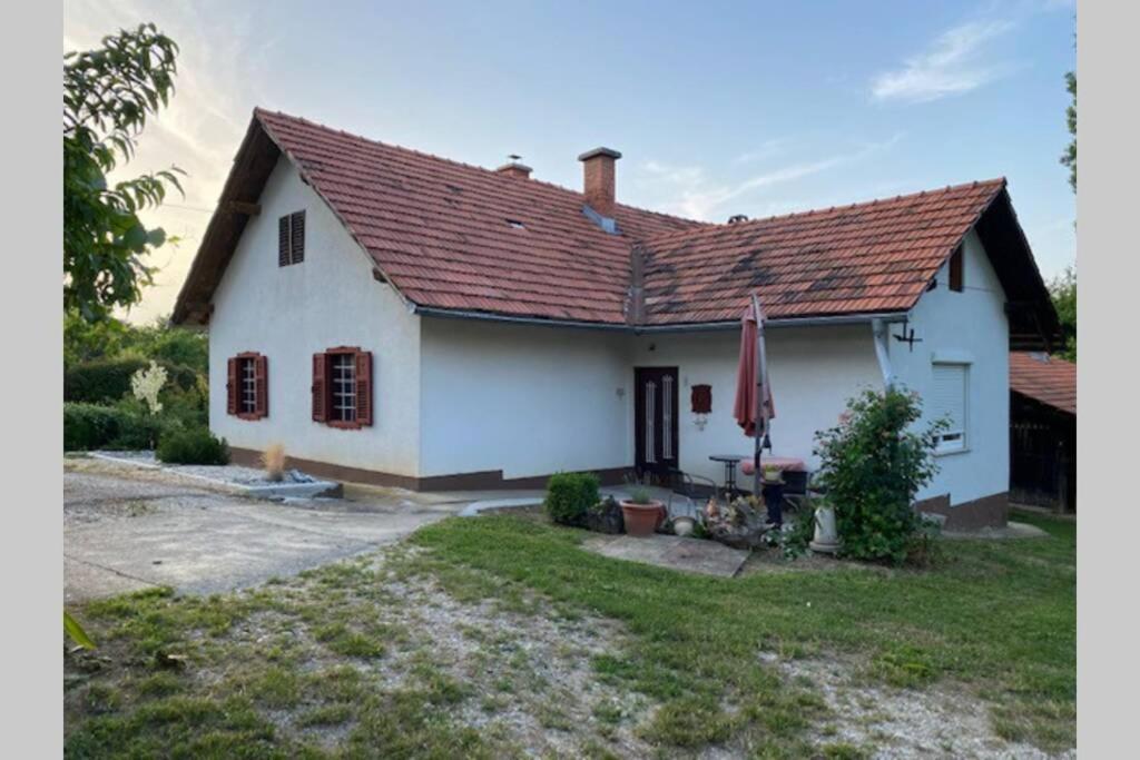 Villa Zivahna Hisa à Sveti Jurij ob Scavnici Extérieur photo