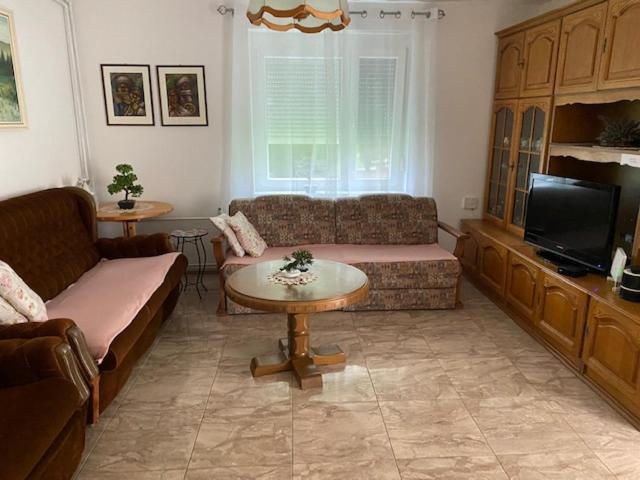 Villa Zivahna Hisa à Sveti Jurij ob Scavnici Extérieur photo